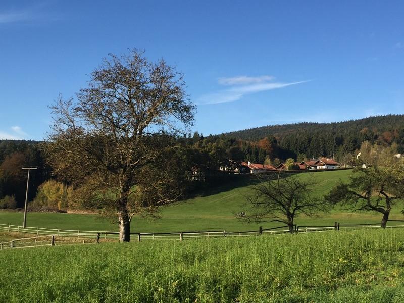 Ferienwohnung Hauzenberg Blick ภายนอก รูปภาพ